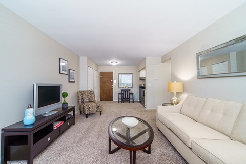Living area with plush beige carpeting.