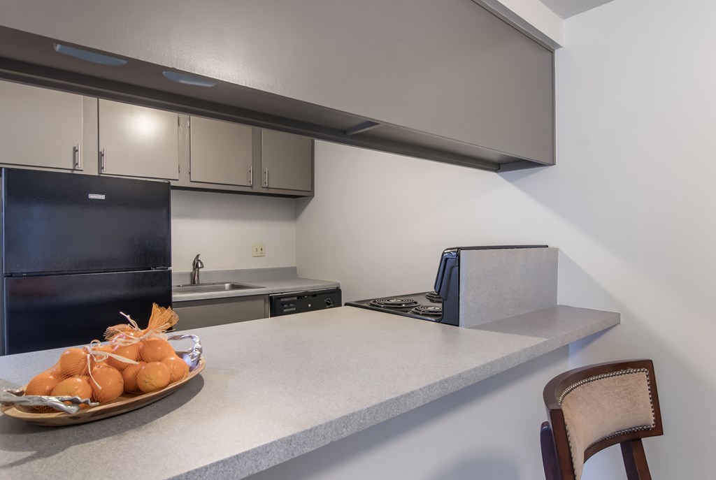 A kitchen with a black refrigerator, a counter with a plate of food on it, and a chair.