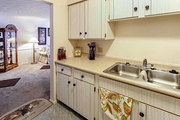 a kitchen with a sink and a dishwasher