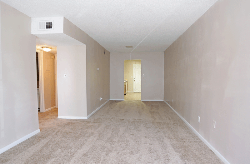 Living room with plush carpeting