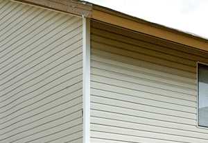 Exterior of Building Exterior of Building with beige siding and white trim. Green grass in front of building.