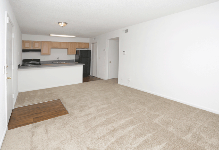 Living area with carpeting overlooking kitchen area