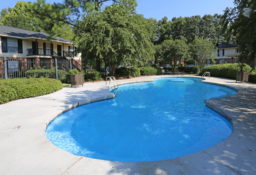 Outdoor swimming pool near trees
