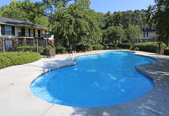 Outdoor swimming pool near trees