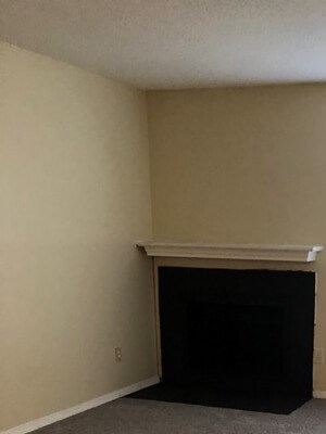 Living area with beige carpeting, window with white horizontal blinds, and fireplace to the left of window on back wall.