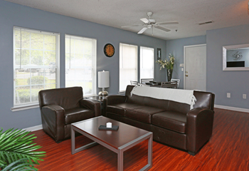 Living room with leather furiture