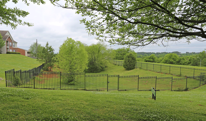 Large fenced in bark park with green grass and trees.