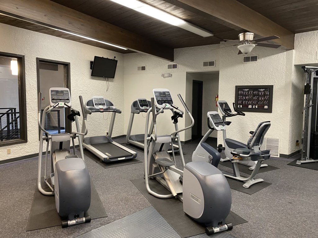 A gym with treadmills, elliptical machines, and a television.