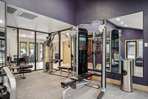 A gym with purple walls and a variety of equipment.