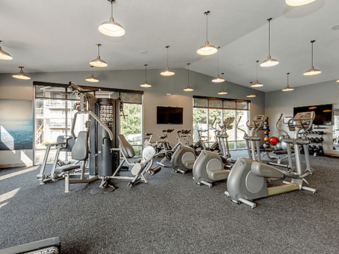 A gym with a row of exercise bikes.