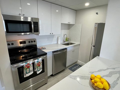 A modern kitchen with a stove top oven and a dishwasher.