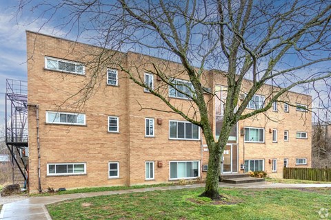 A tree in front of a brick building with a metal staircase on the left.