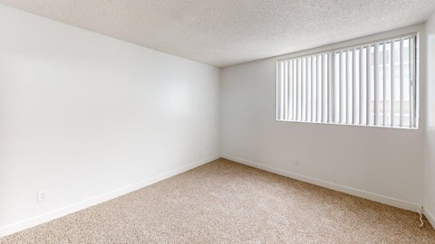 A room with a carpeted floor and a window with blinds.