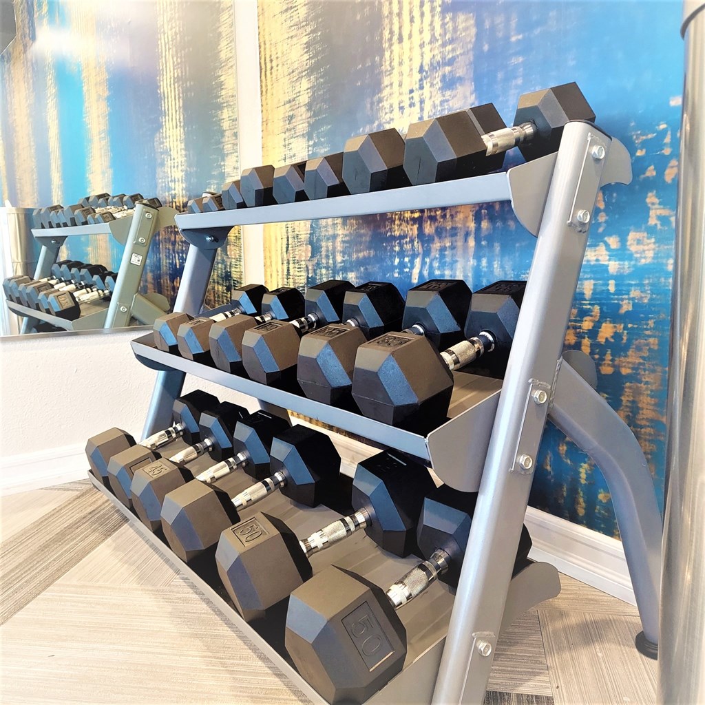 Gym Weights