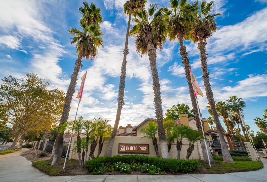 a group of palm trees in front of a building