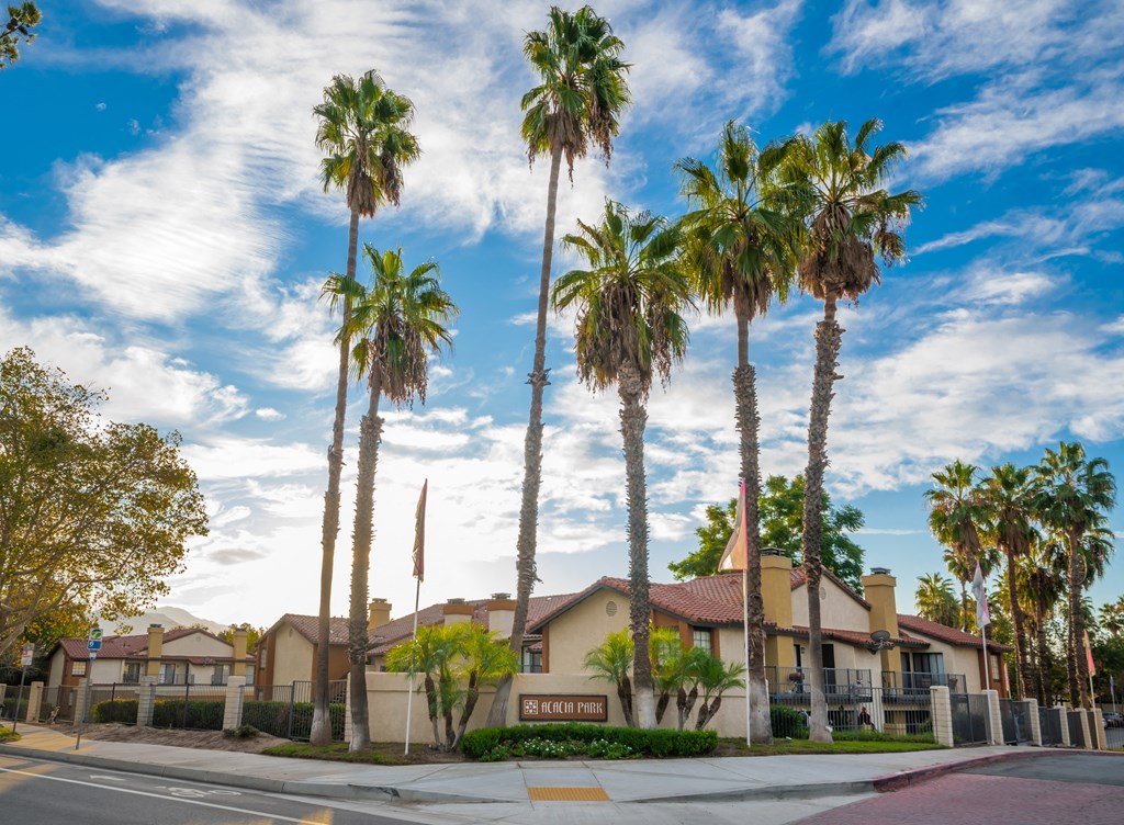 a group of palm trees in front of a house