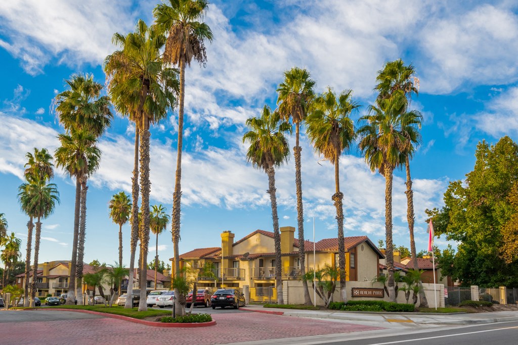 a street with houses and palm trees