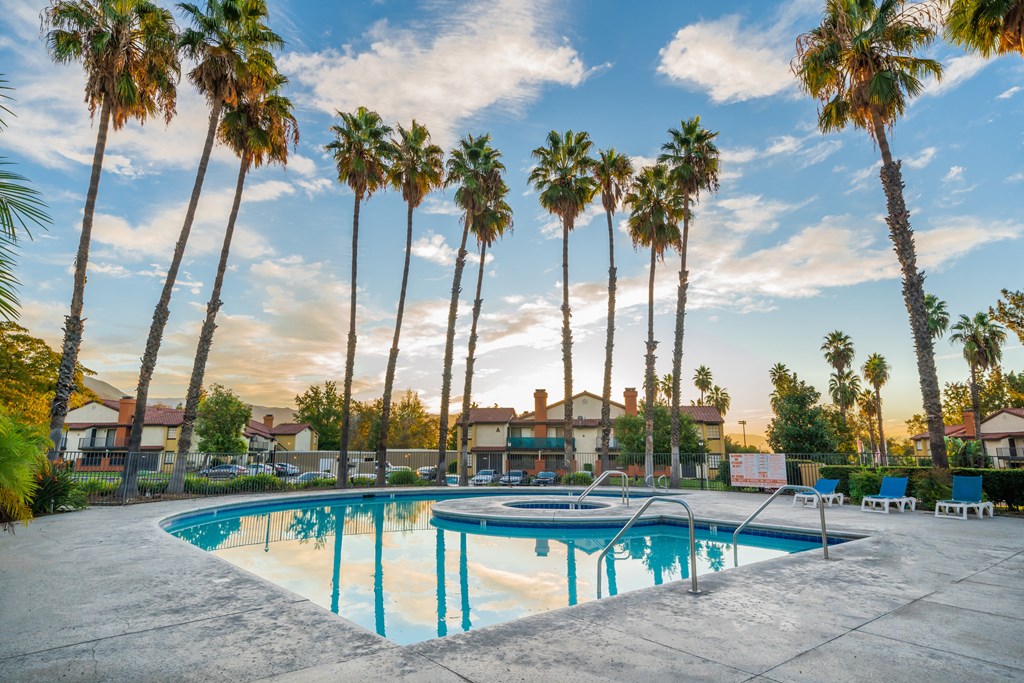 a pool with palm trees in the background