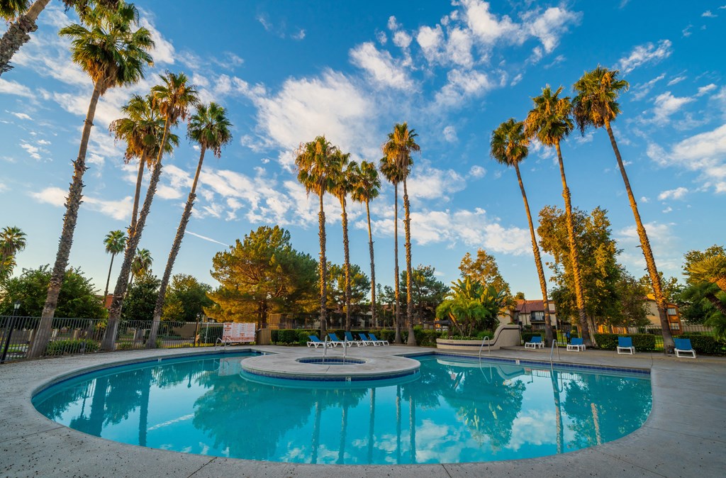 a pool with palm trees in the background