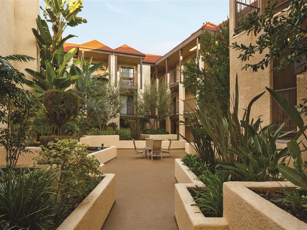 Courtyard with plants