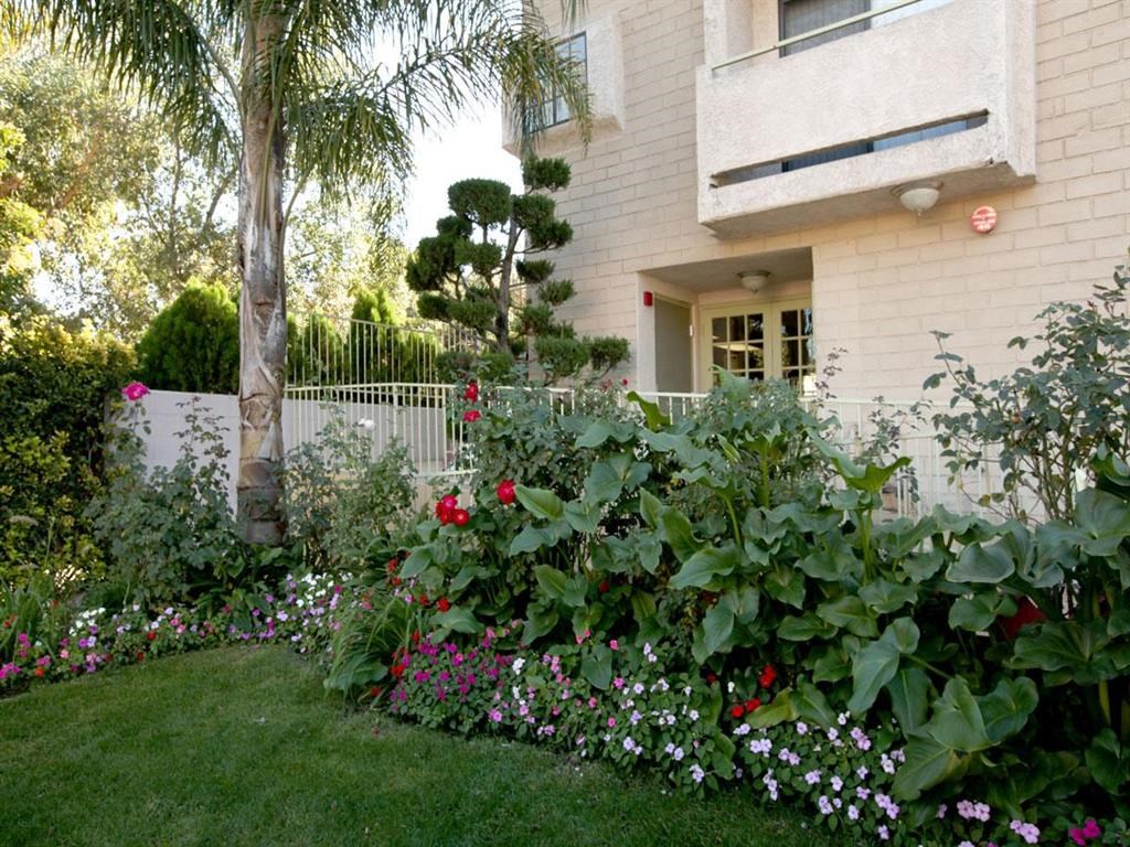 Garden outside of building