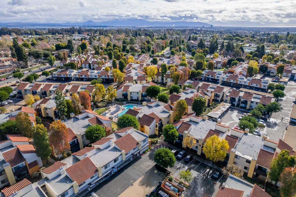 an aerial view of a city with houses and trees