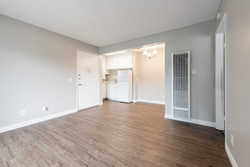 Junior 1 bedroom living room with plank wood floors