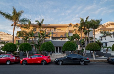 Street view of building with palm trees