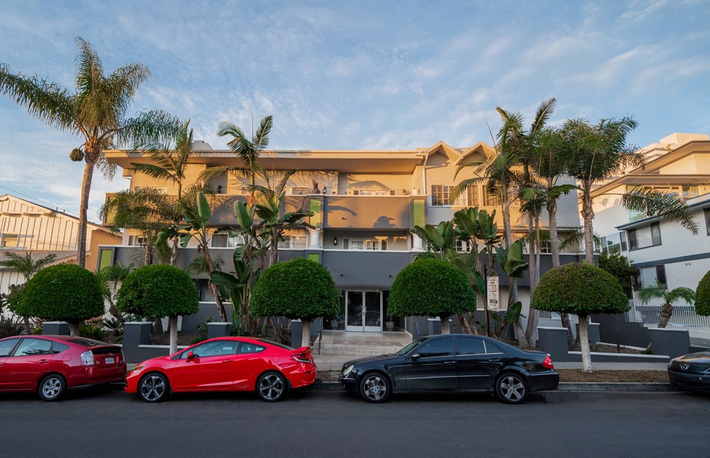 Street view of building with palm trees