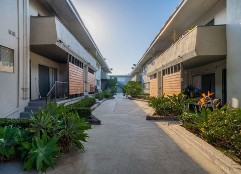 A concrete pathway leads between two rows of apartment buildings.