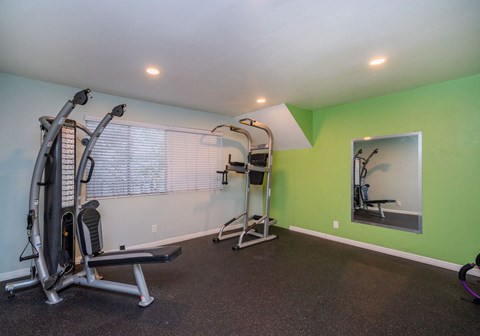 A home gym with a green wall and a mirror.