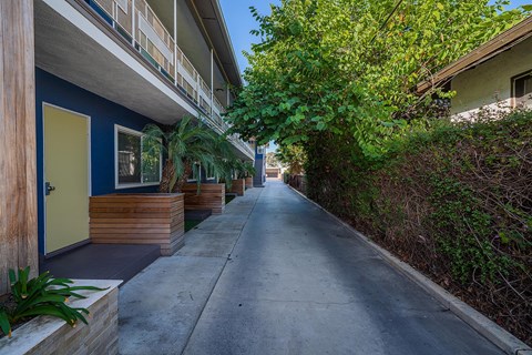 A narrow street between two rows of houses.