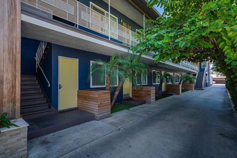 A row of houses with blue walls and wooden steps leading to the front doors.
