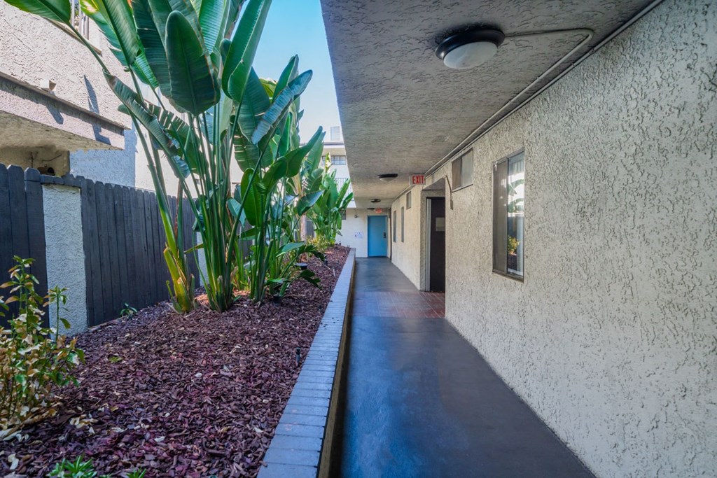 a long hallway with plants on the side of a building