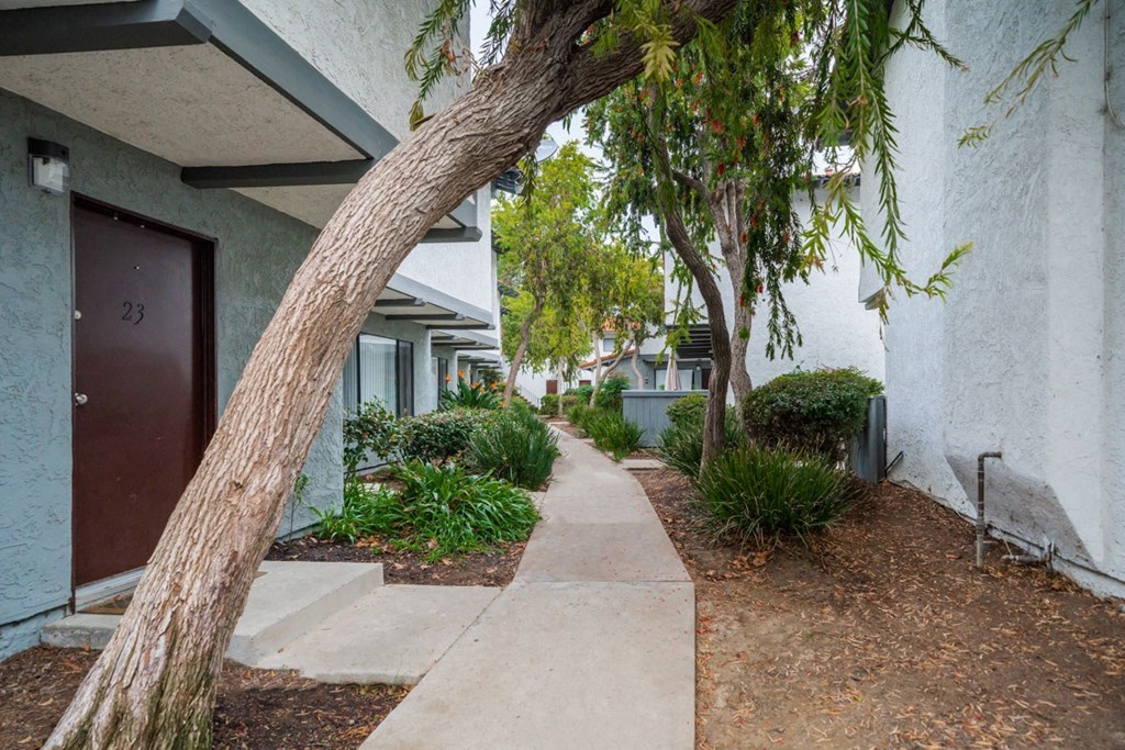 A tree trunk is in the foreground of a residential street.