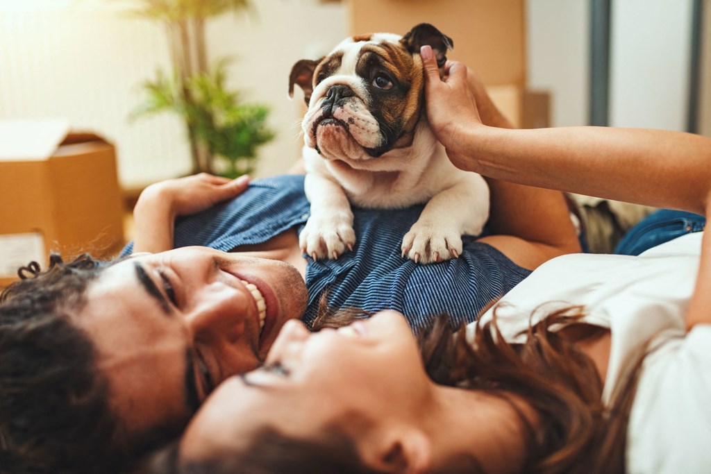 a woman laying in bed with a bulldog on her lap