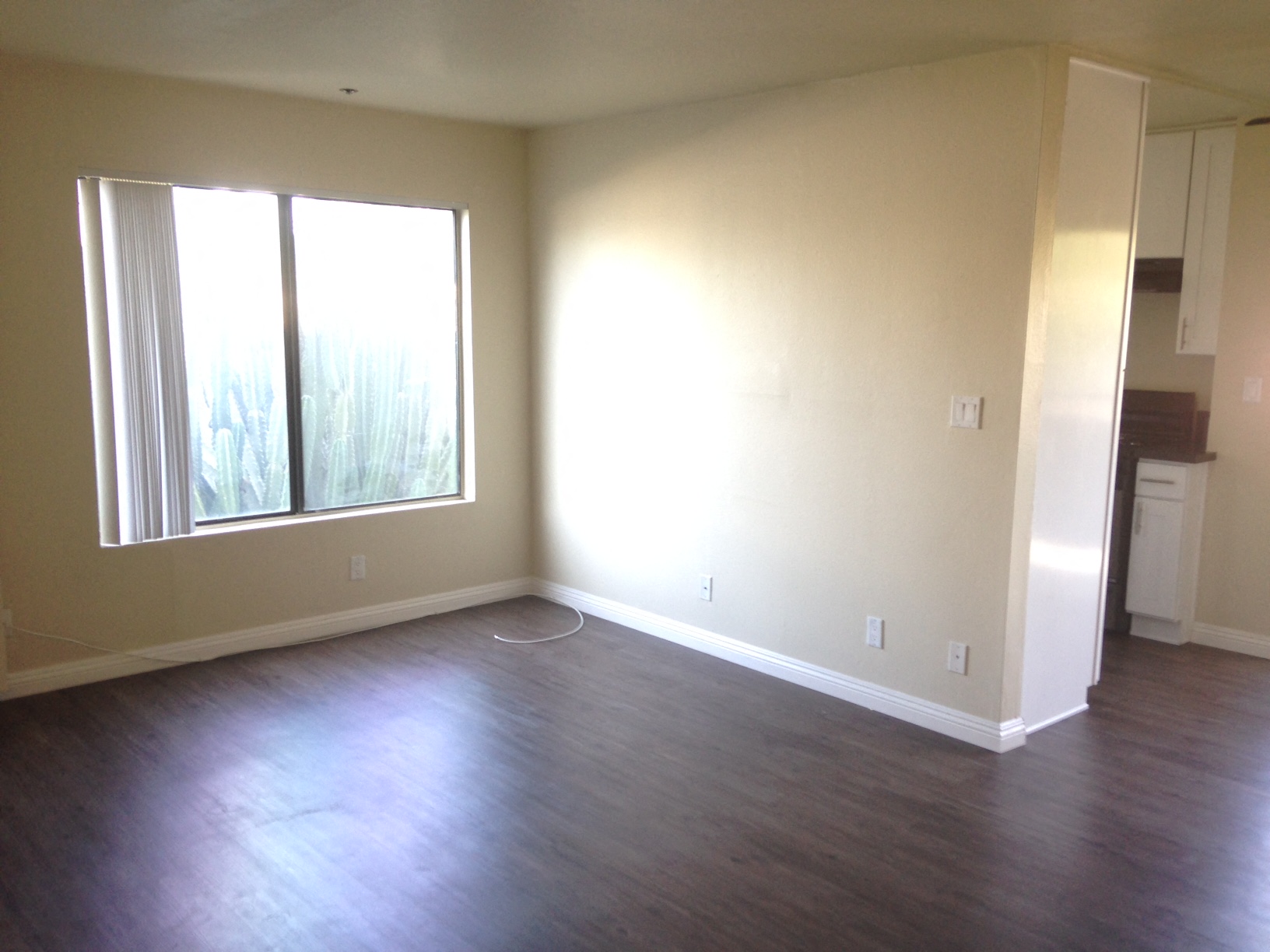 living room with window