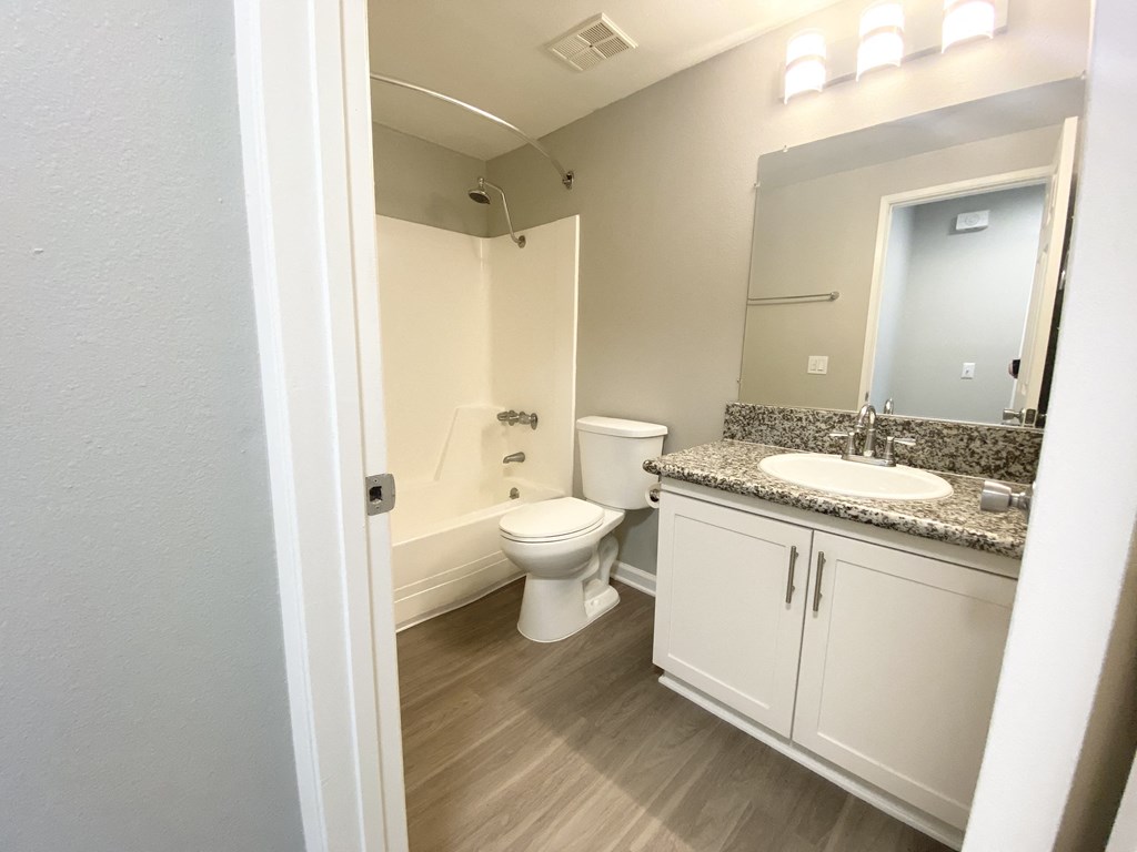 a bathroom with a toilet and a sink and a mirror