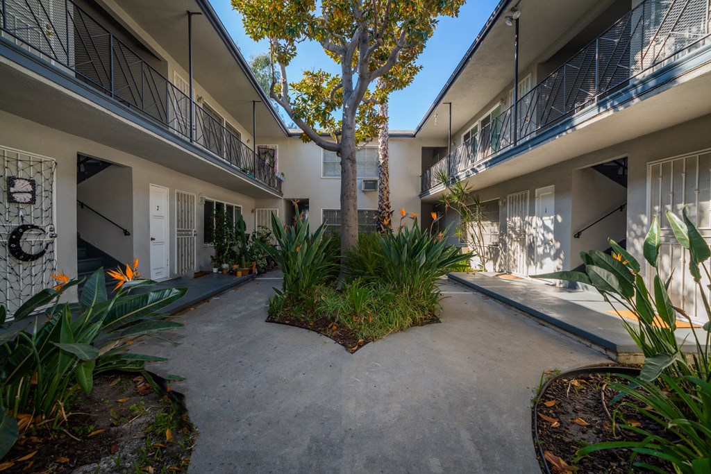 a view of the courtyard at Isles of Charm