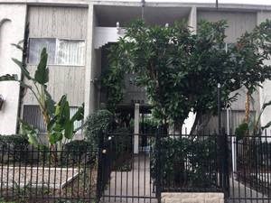 Front of Building with Trees and black fence
