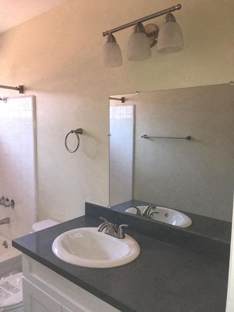 bathroom counter and white sink