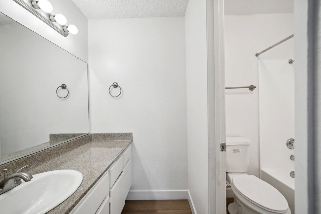a bathroom with a sink and a toilet and a shower