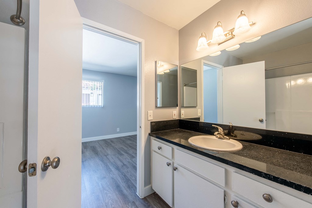 Master bathroom equipped with black quartz countertops