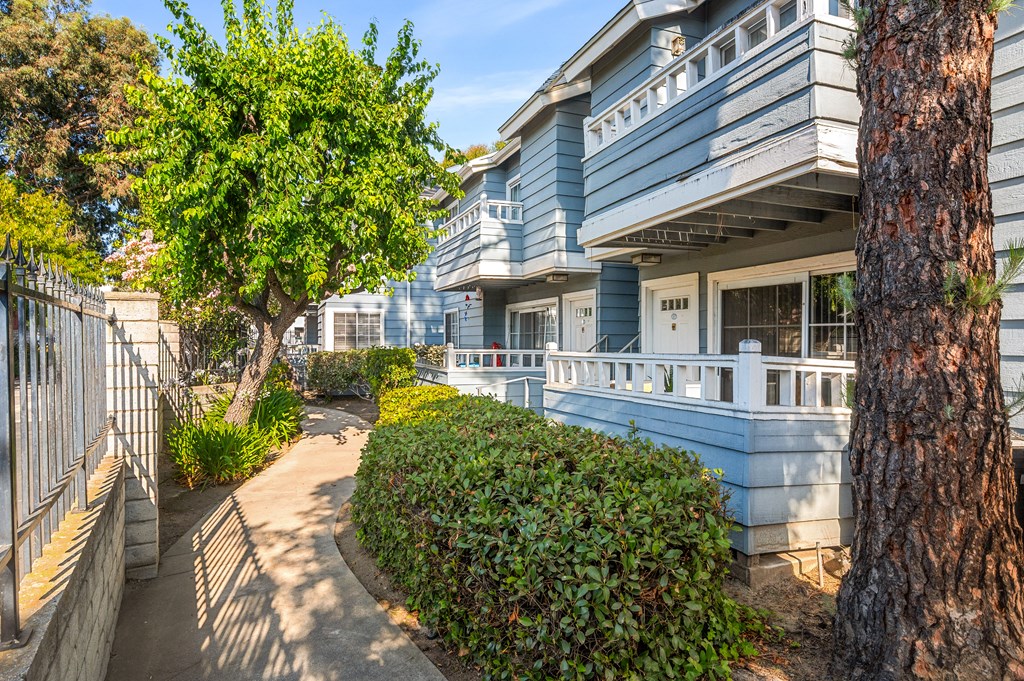 A tree in front of a blue building.