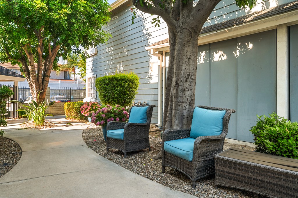 Two chairs with blue cushions are placed on a patio.