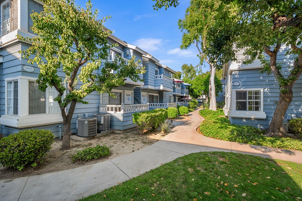 A tree in front of a blue building.