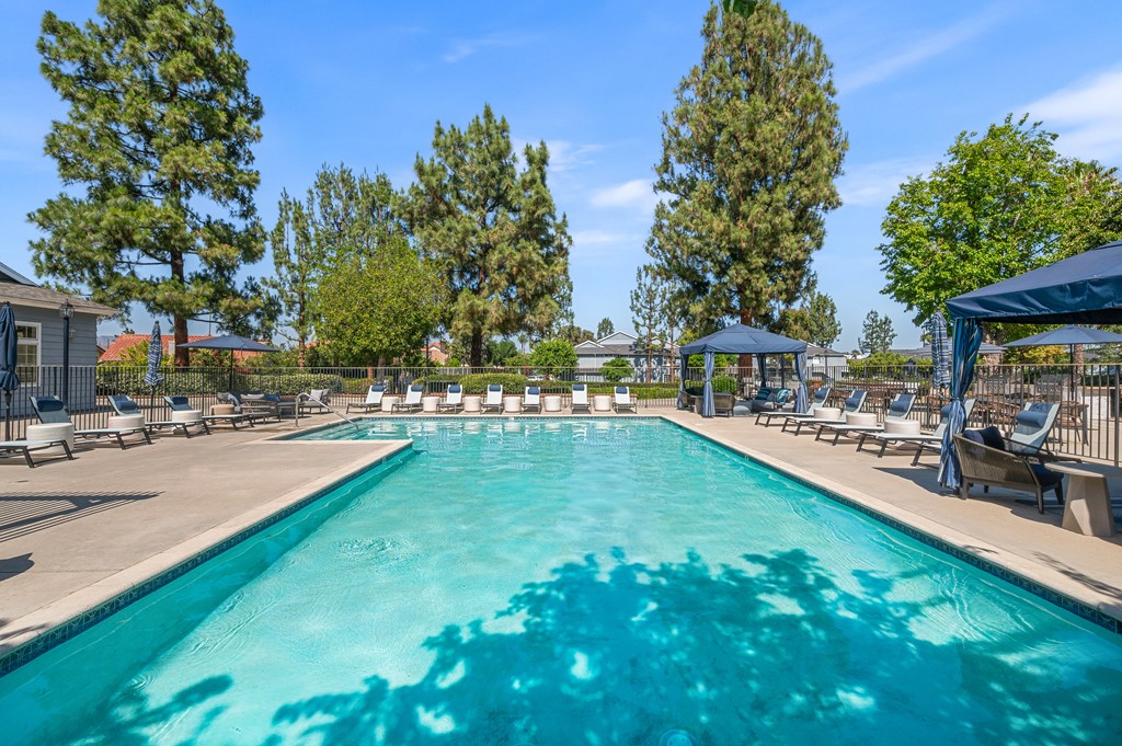 A large swimming pool surrounded by trees and lounge chairs.