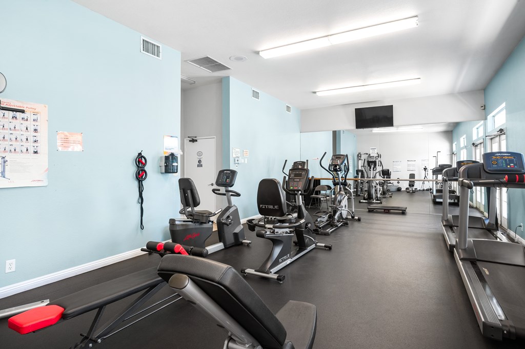 A gym with treadmills, exercise bikes, and other equipment.