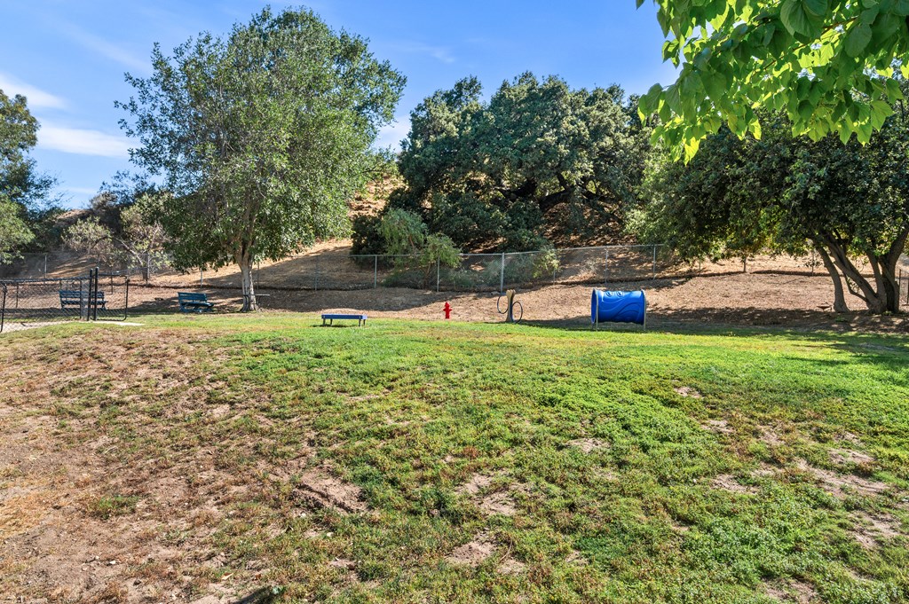 picture of grassy dog park area