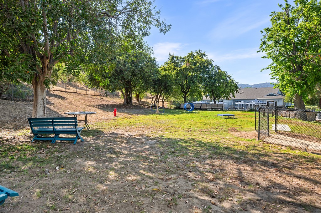 A park with a blue bench and trees.